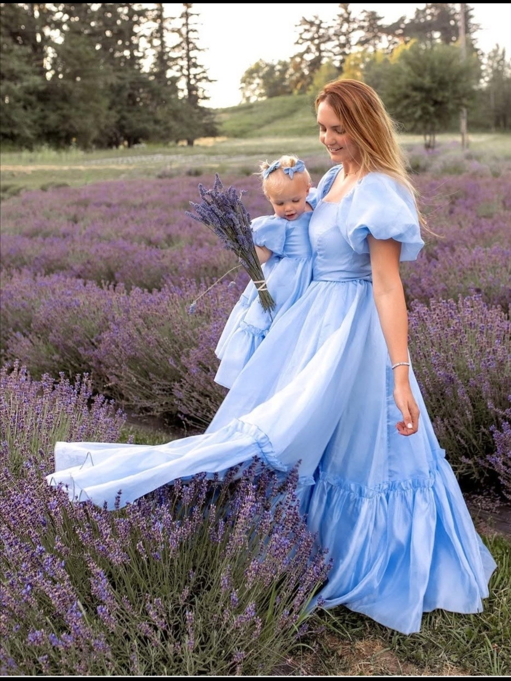 Ivy City Co Blue Wonderland Dress Cinderella Cosplay Cottagecore RARE HTF